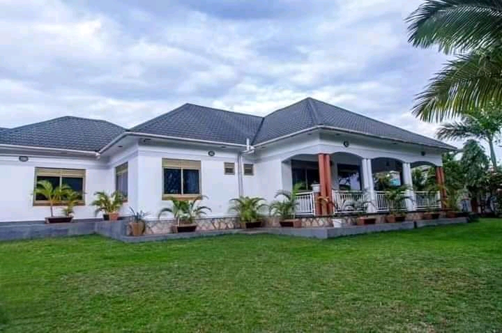 House and Land
